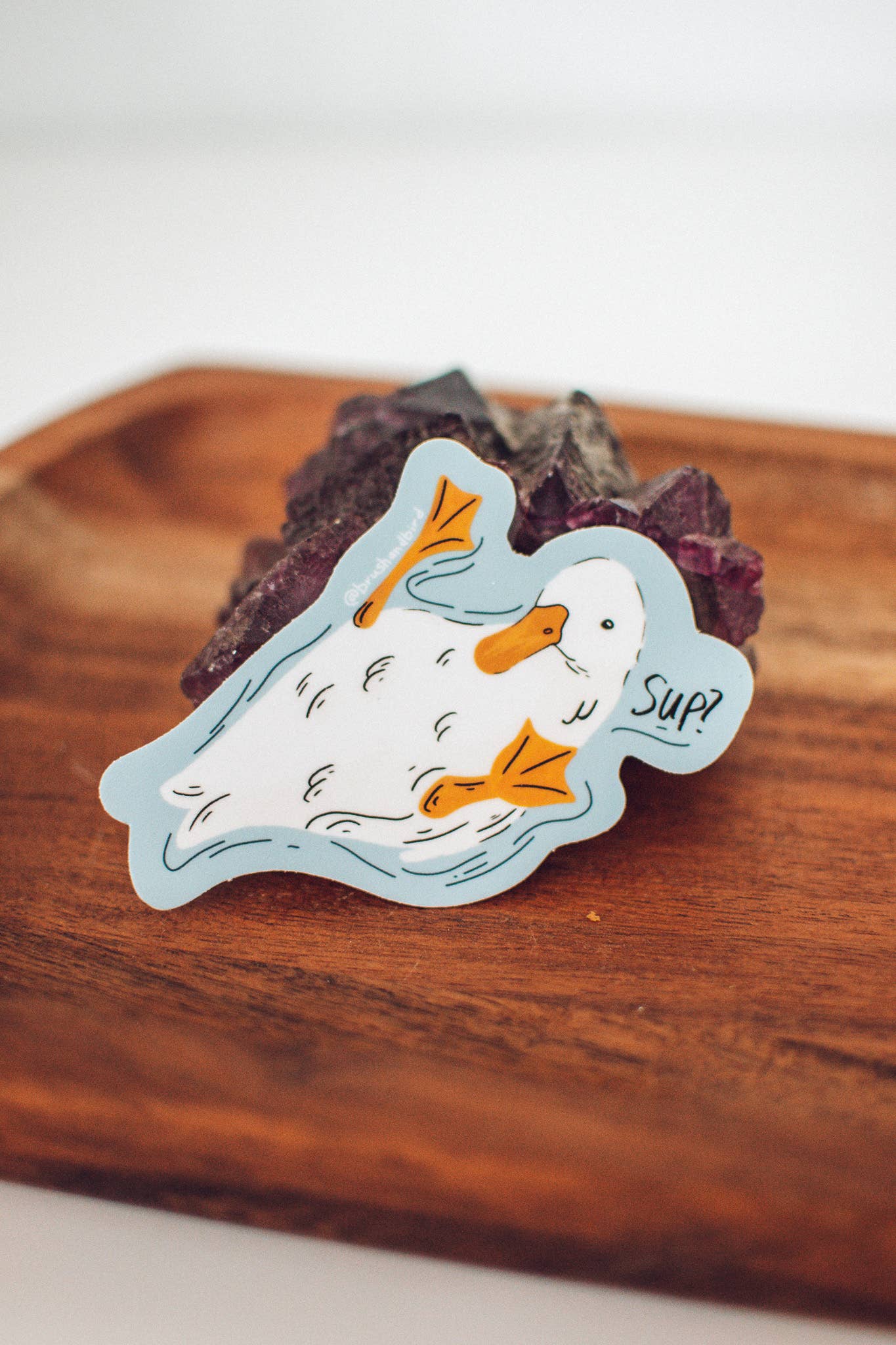 Sup Duck Sticker
