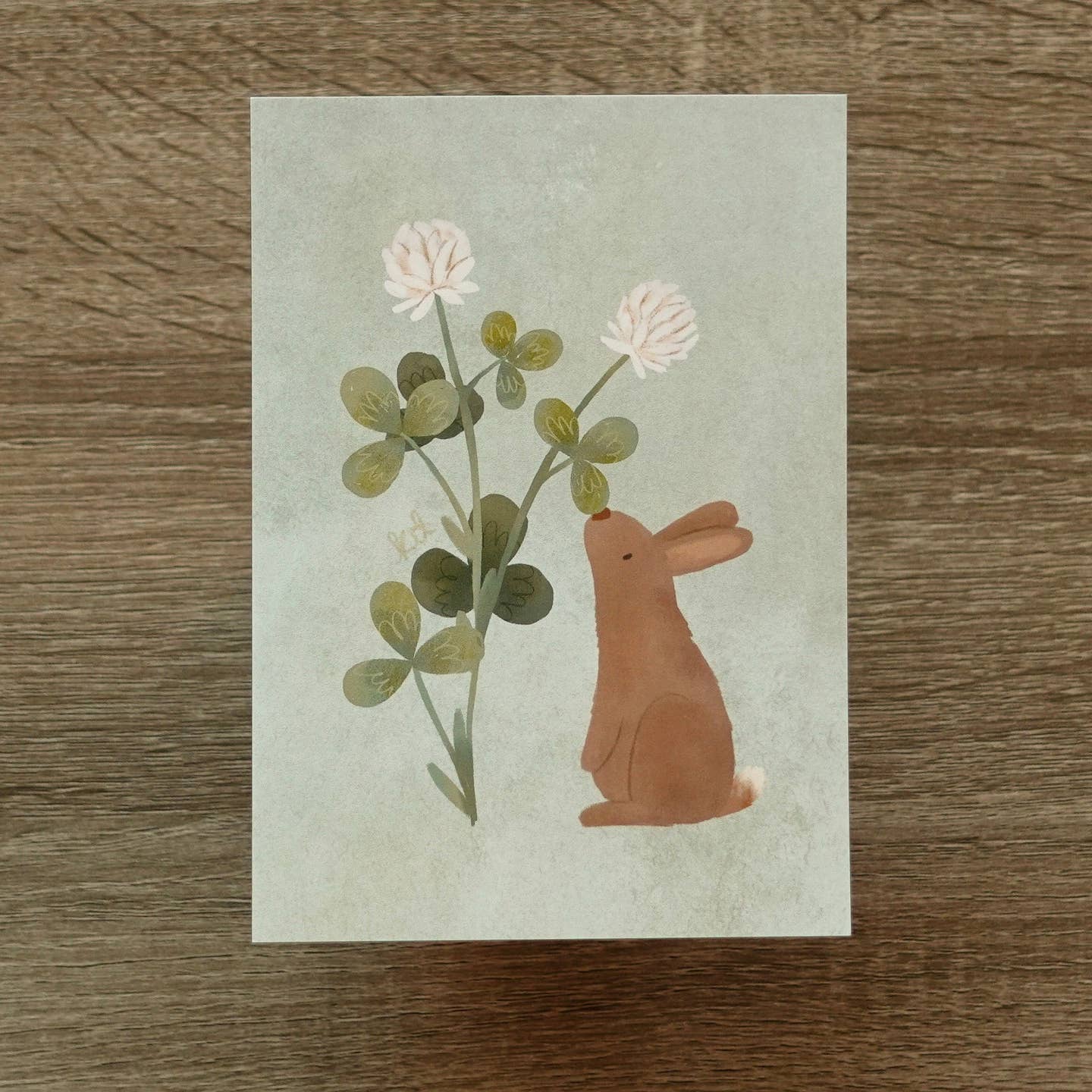Bunny and Clover Postcard