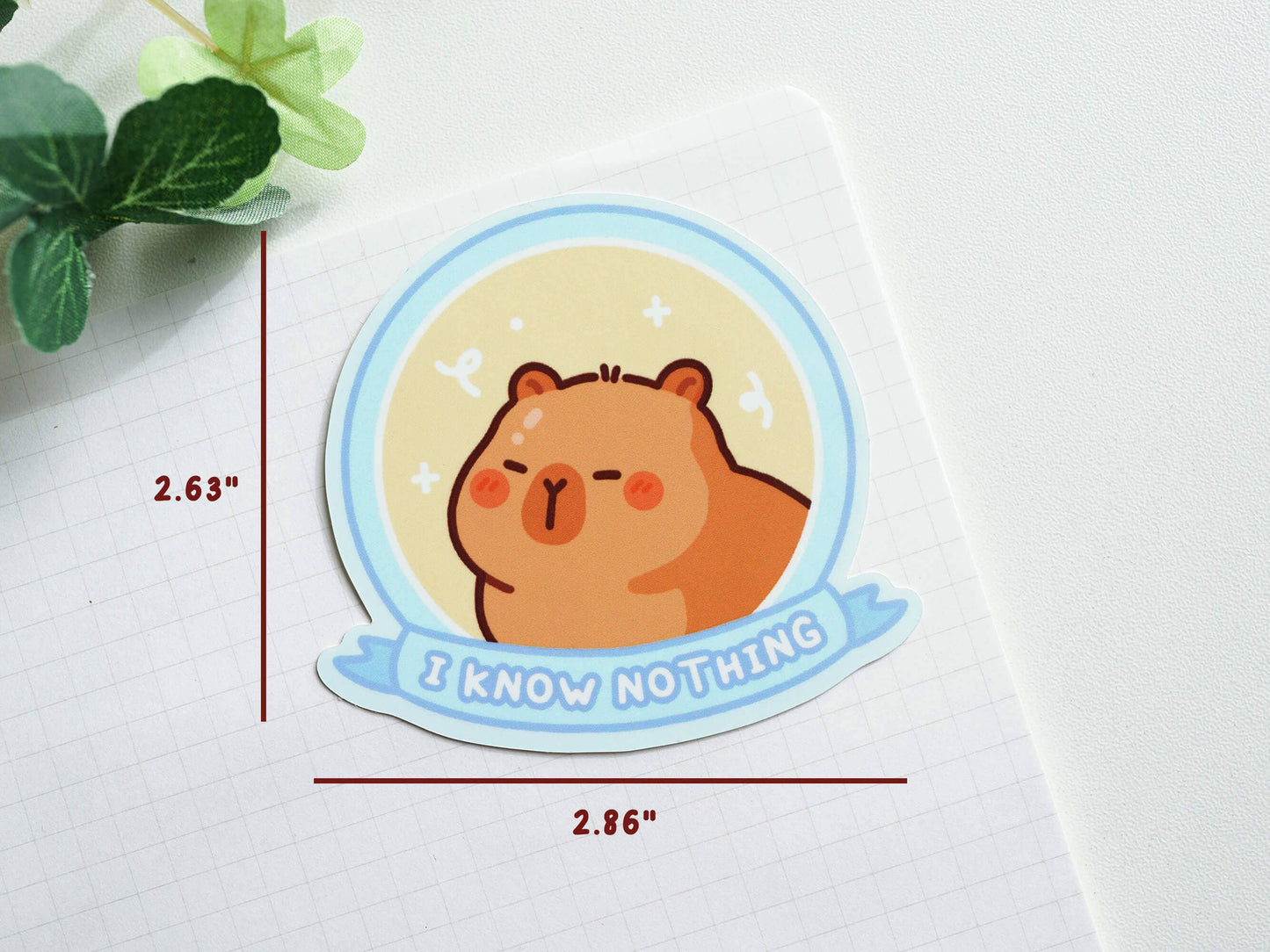 I Know Nothing Capybara Sticker