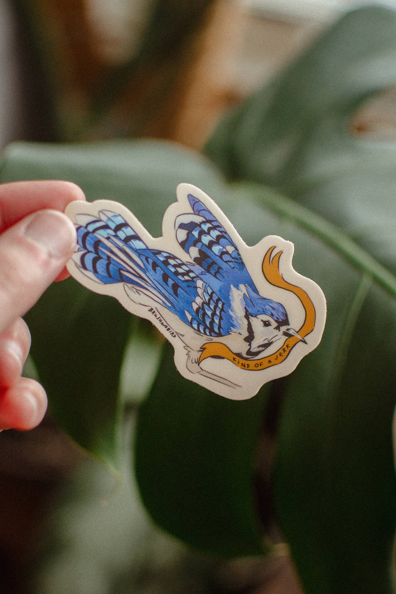 Blue Jay Jerk Sticker Sticker