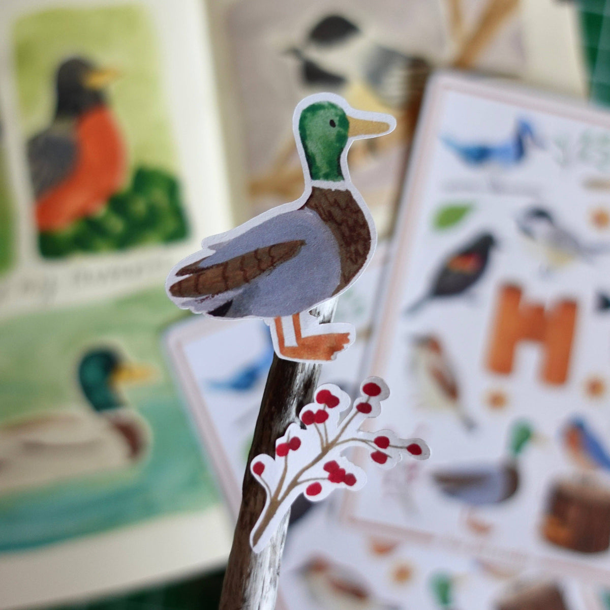 The Birdwatcher Bird 4x6 Paper Sticker Sheet