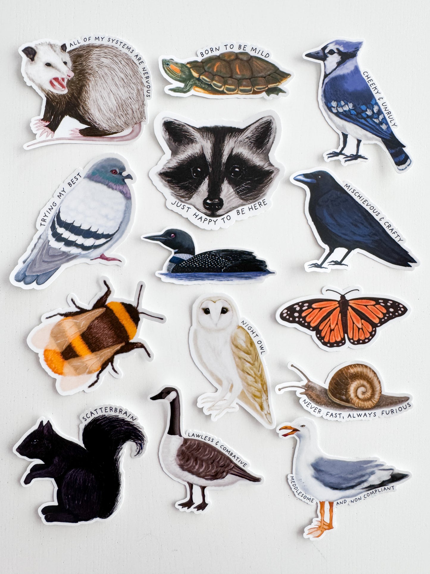 Loon Sticker