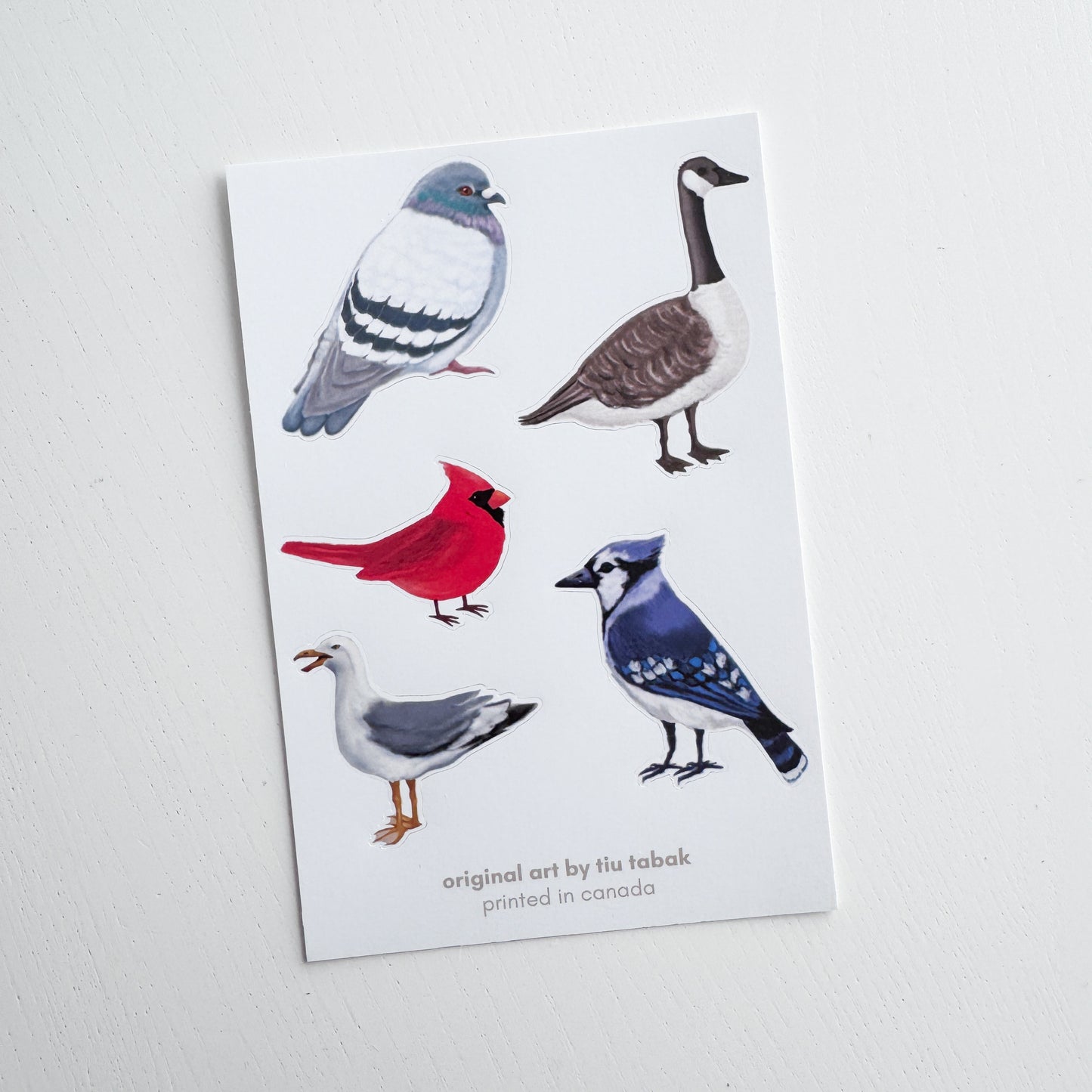 Canadian Birds 4x6 Vinyl Sticker Sheet