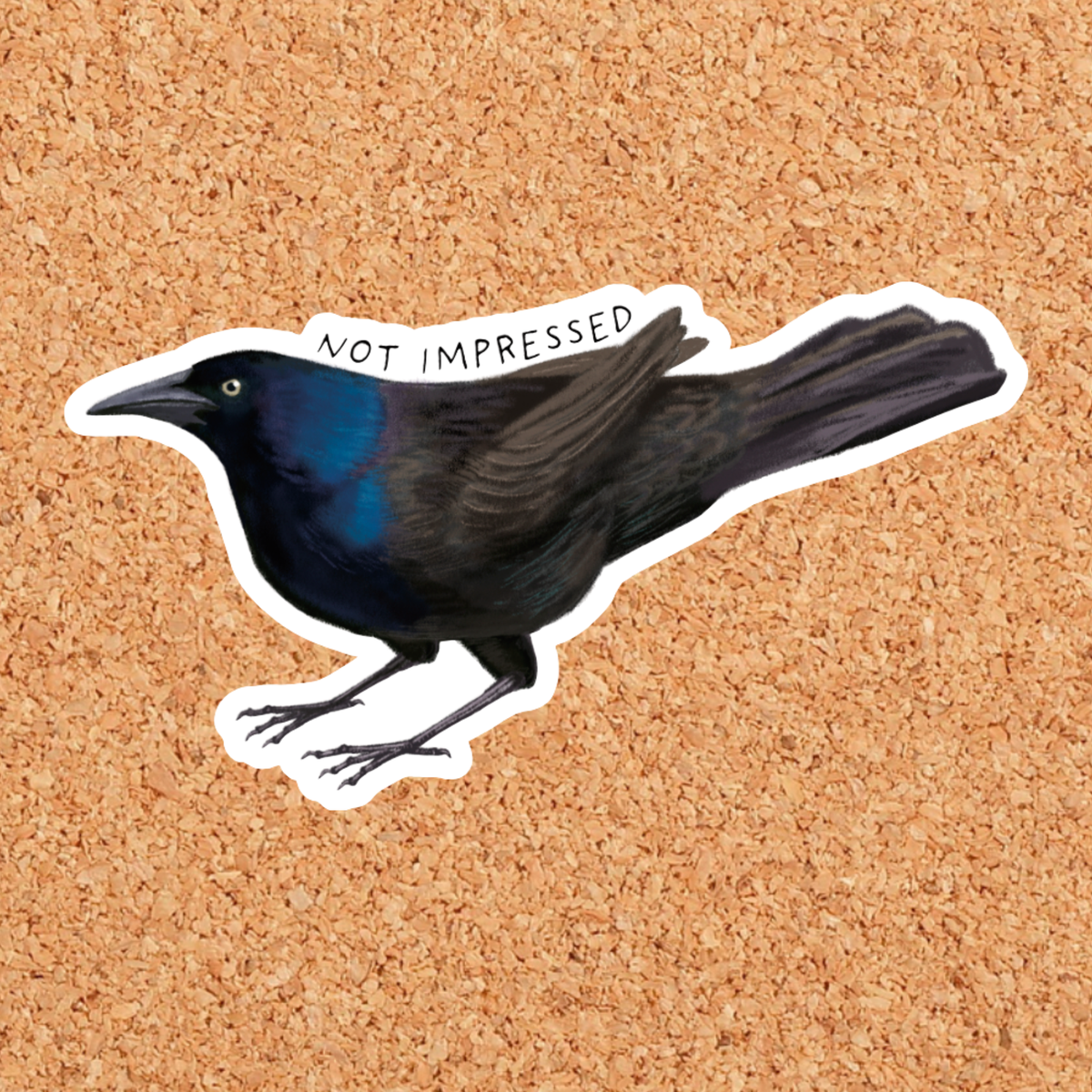 Not Impressed Common Grackle Sticker
