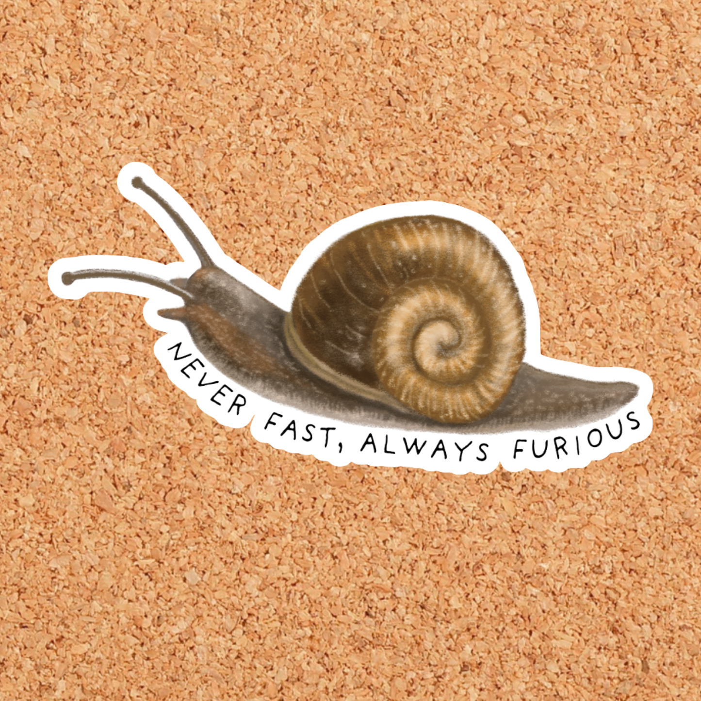 Snail Sticker