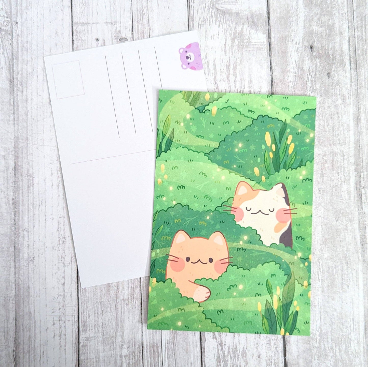 Hideaway Cats Postcard