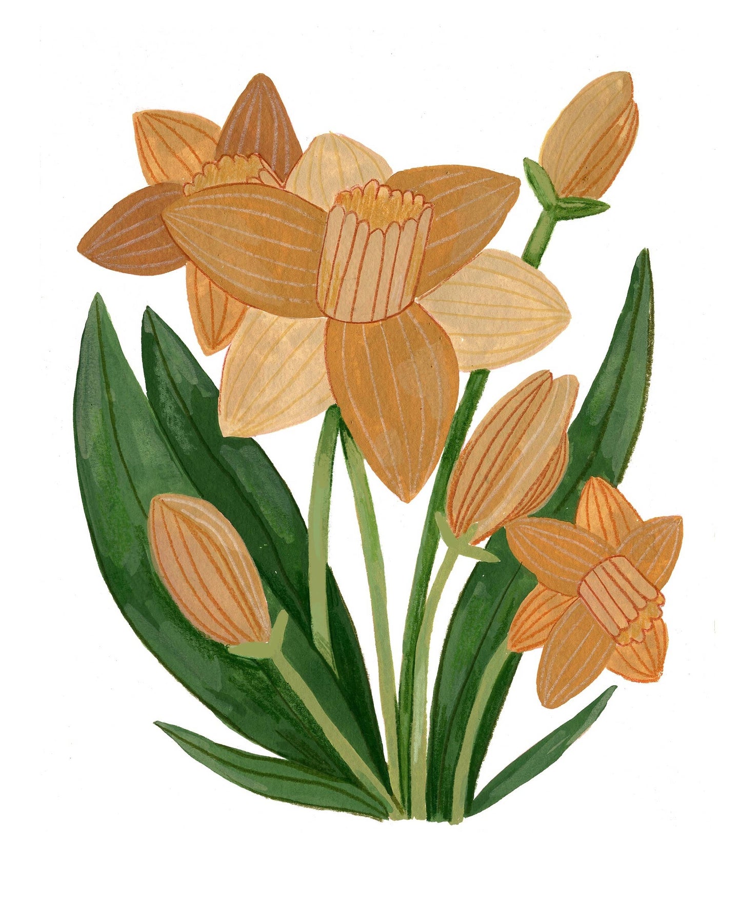 Daffodil Sticker