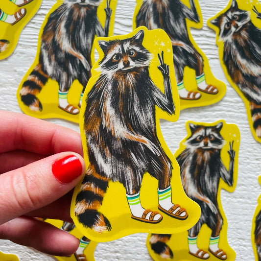 Chill Raccoon Sticker
