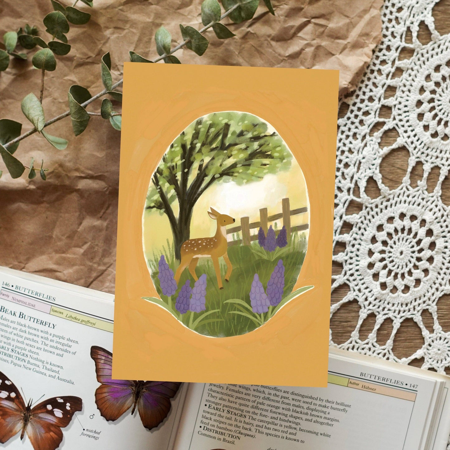 Deer in the Meadow Postcard