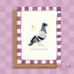 Cool Pigeon Card