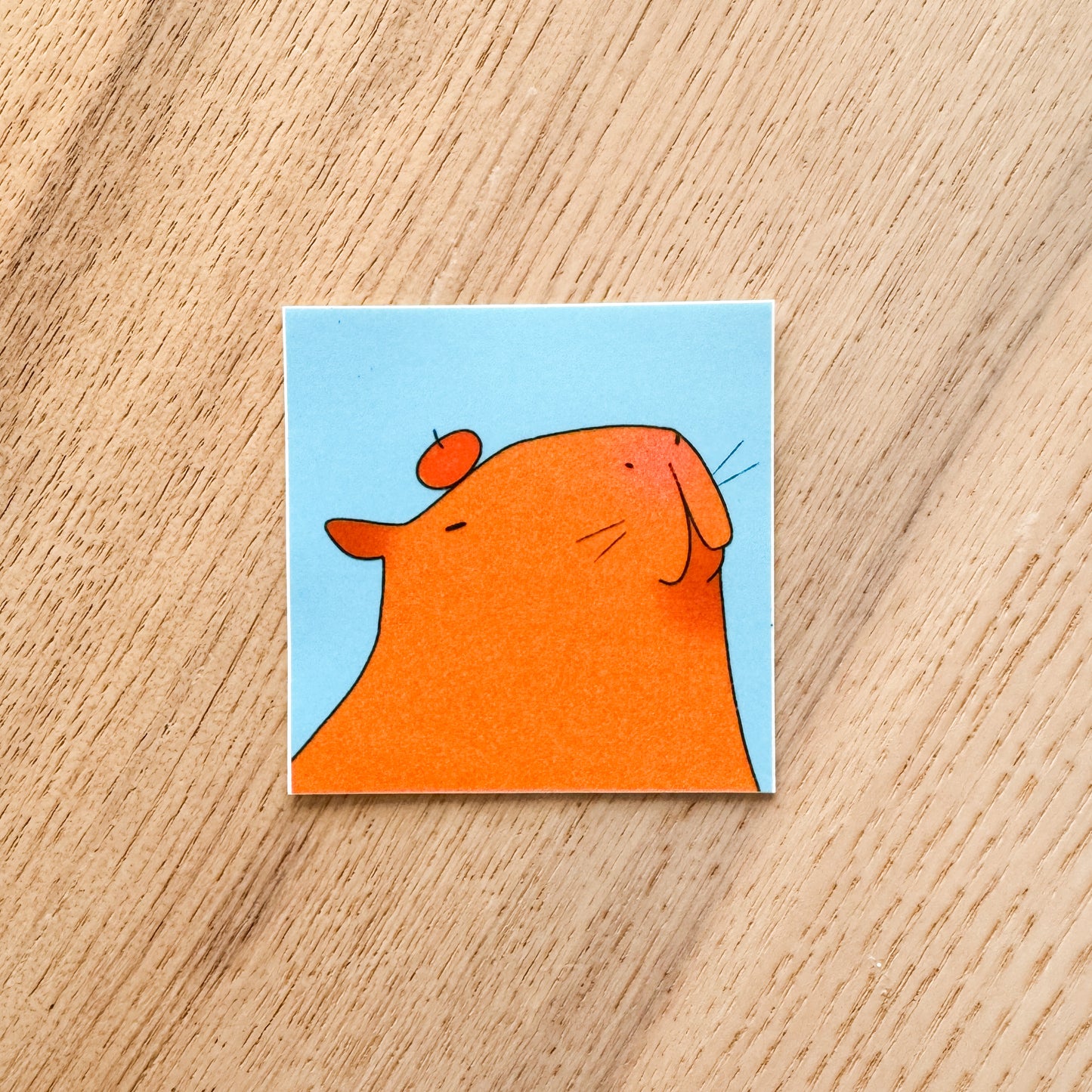 Square Capybara Sticker