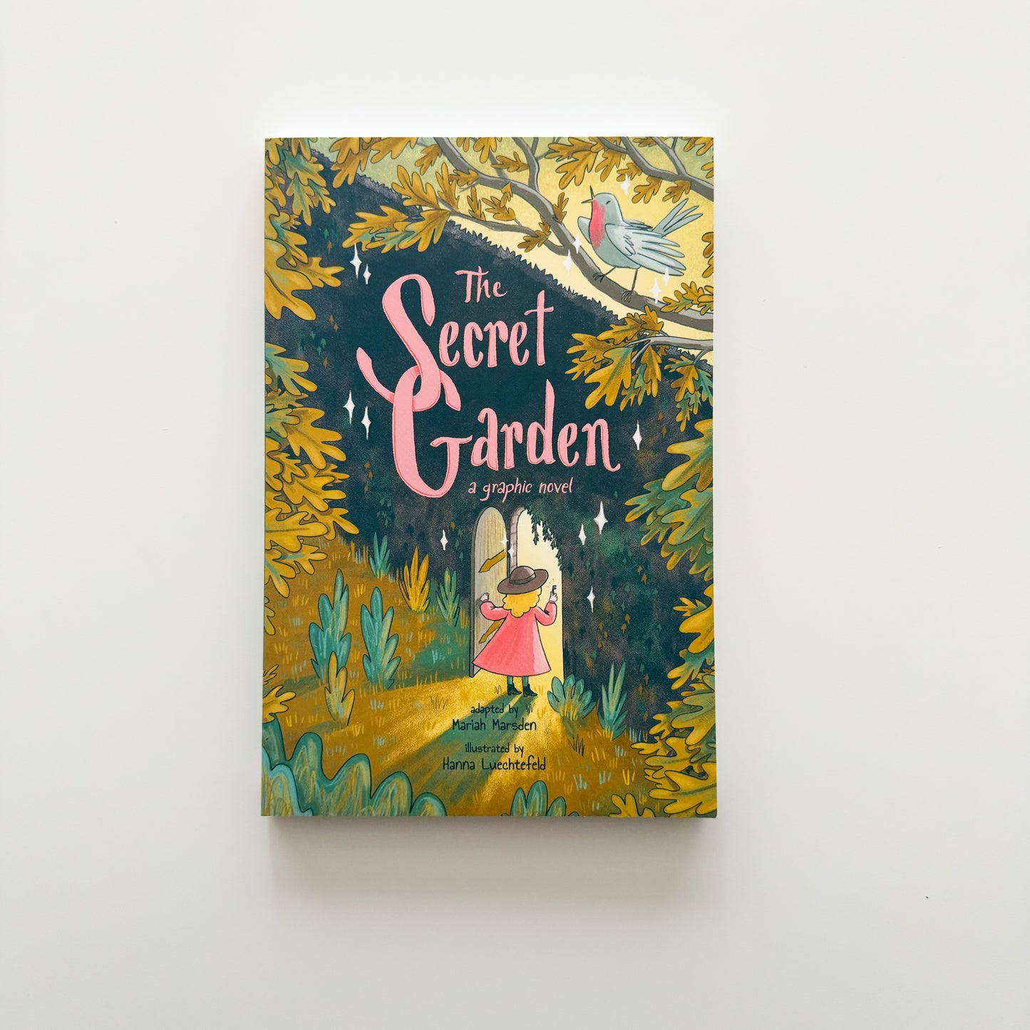 The Secret Garden: A Graphic Novel