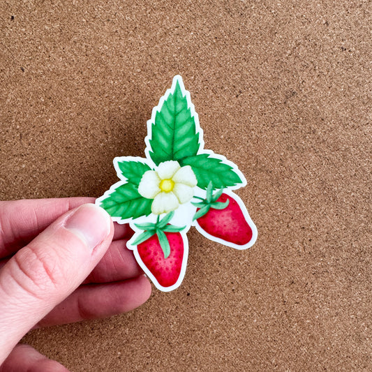Strawberry Sticker