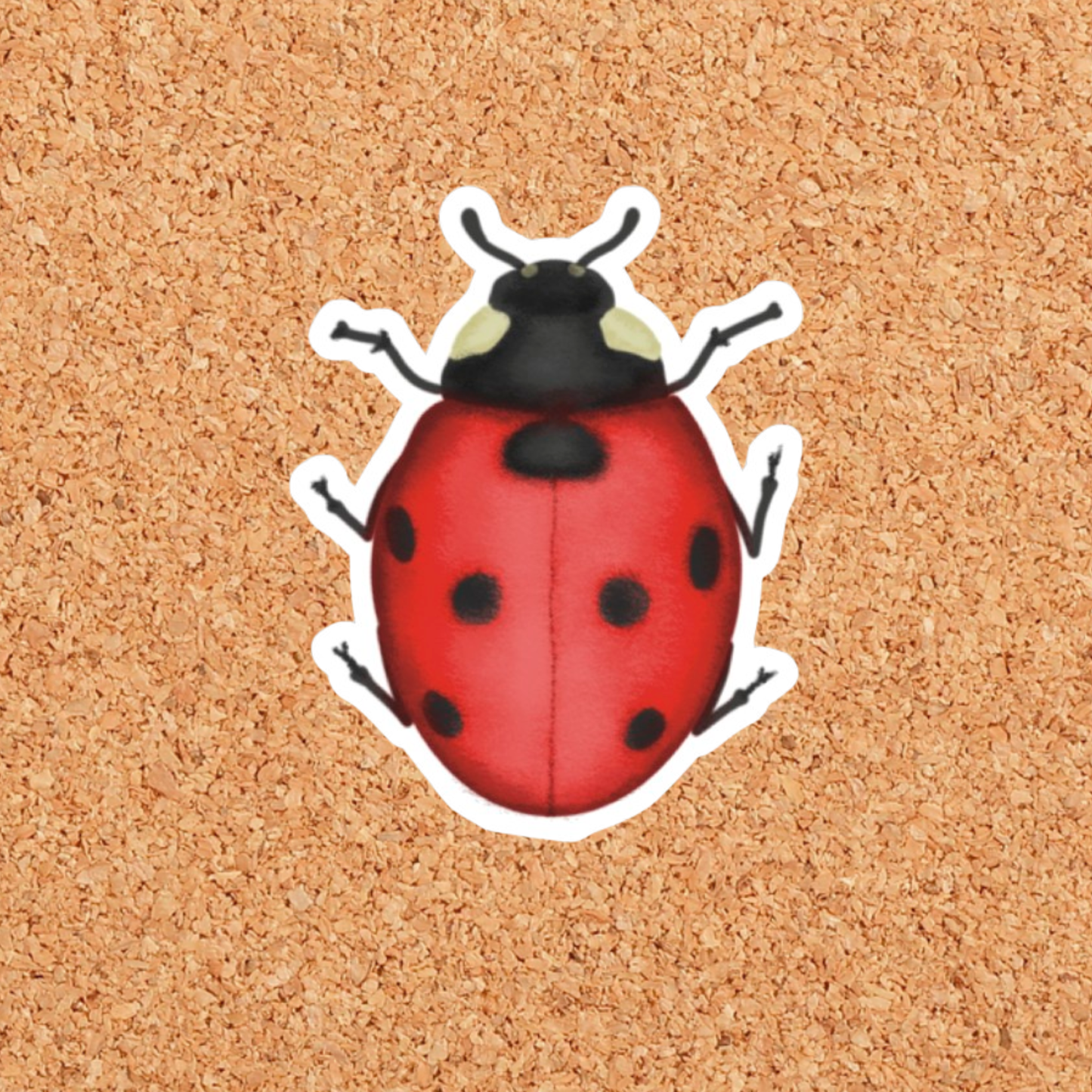 Ladybug Sticker