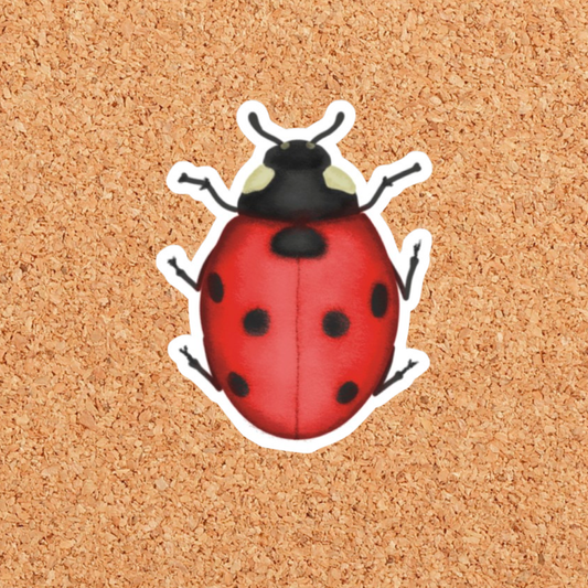 Ladybug Sticker