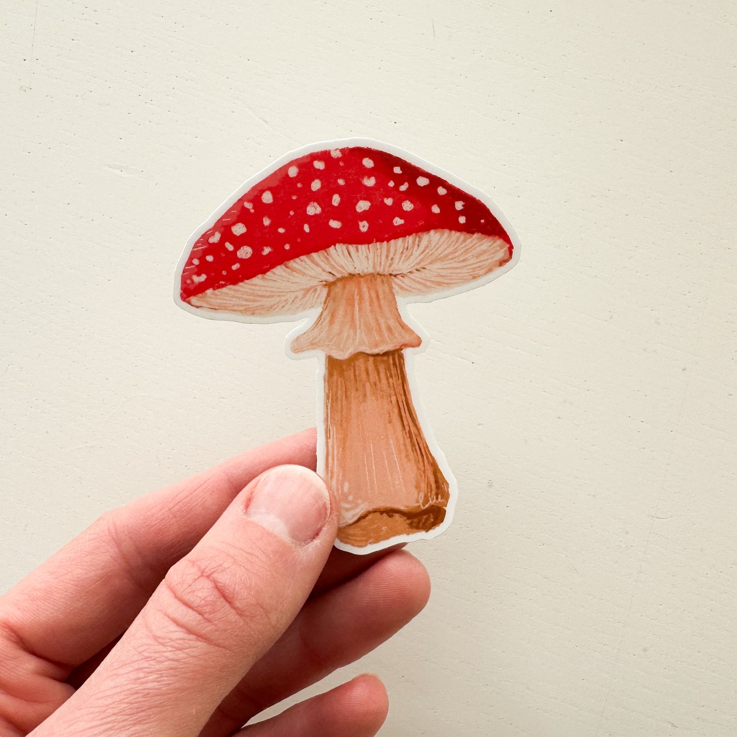 Fly Agaric Mushroom Fungi Sticker