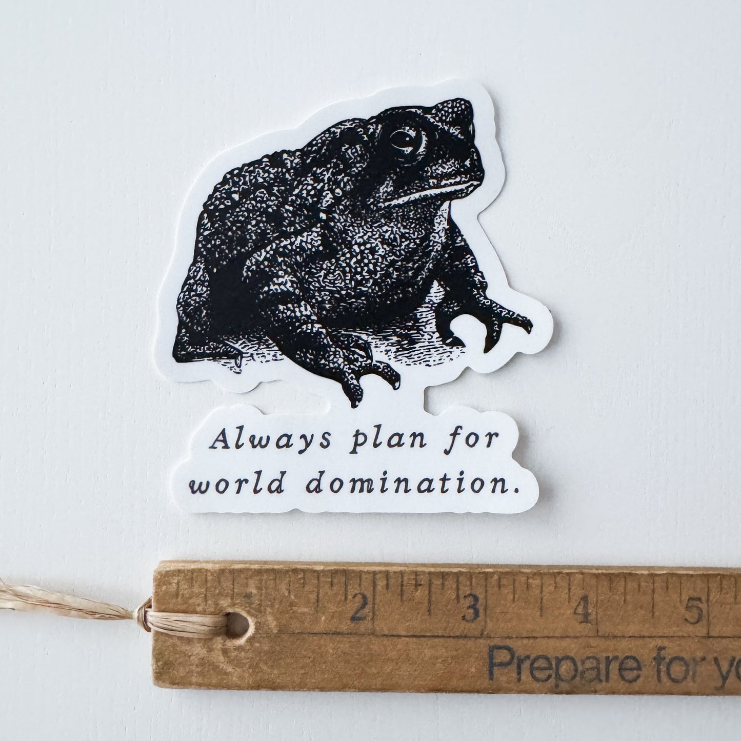 World Domination Frog XL Vinyl Sticker