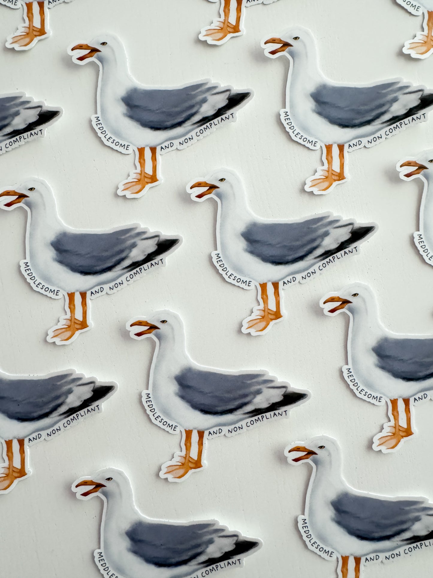 Meddlesome And Non Compliant Seagull Sticker