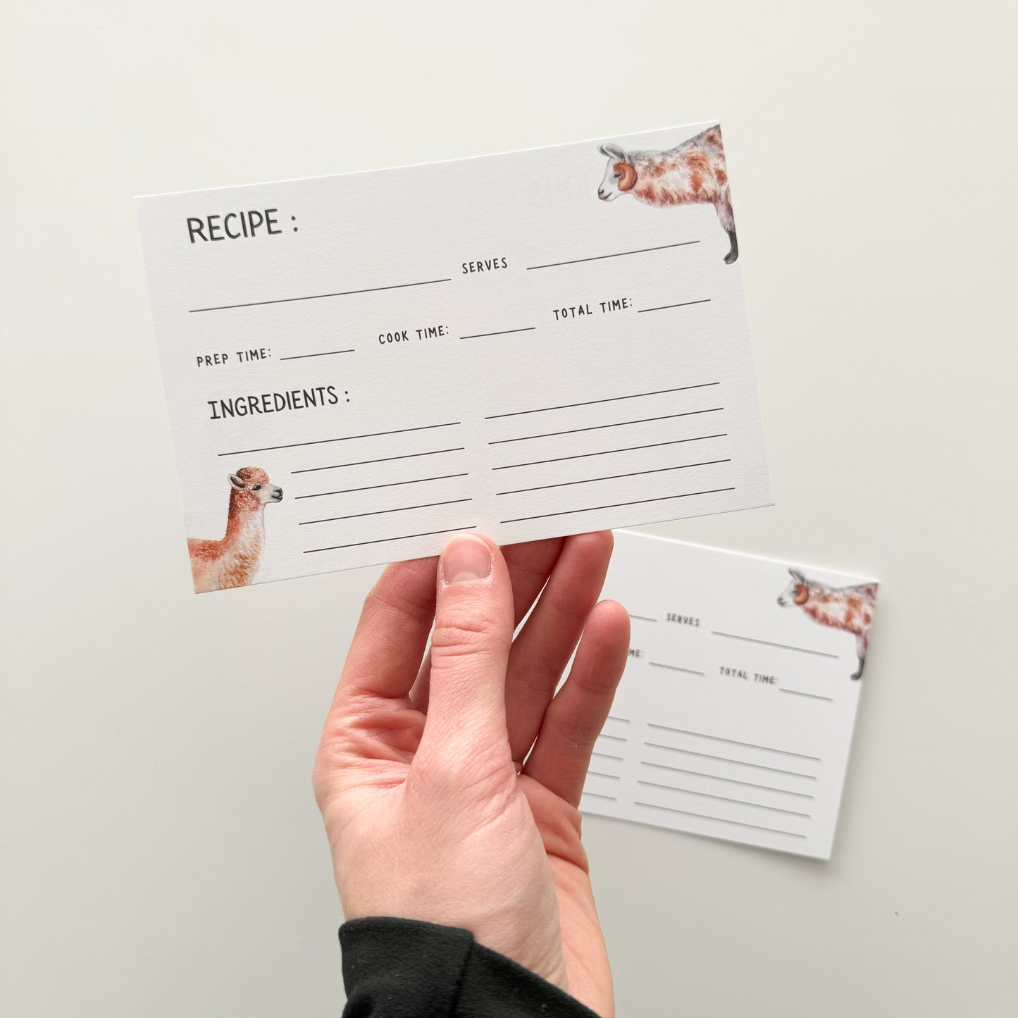 Llama Recipe Cards - Set of 10