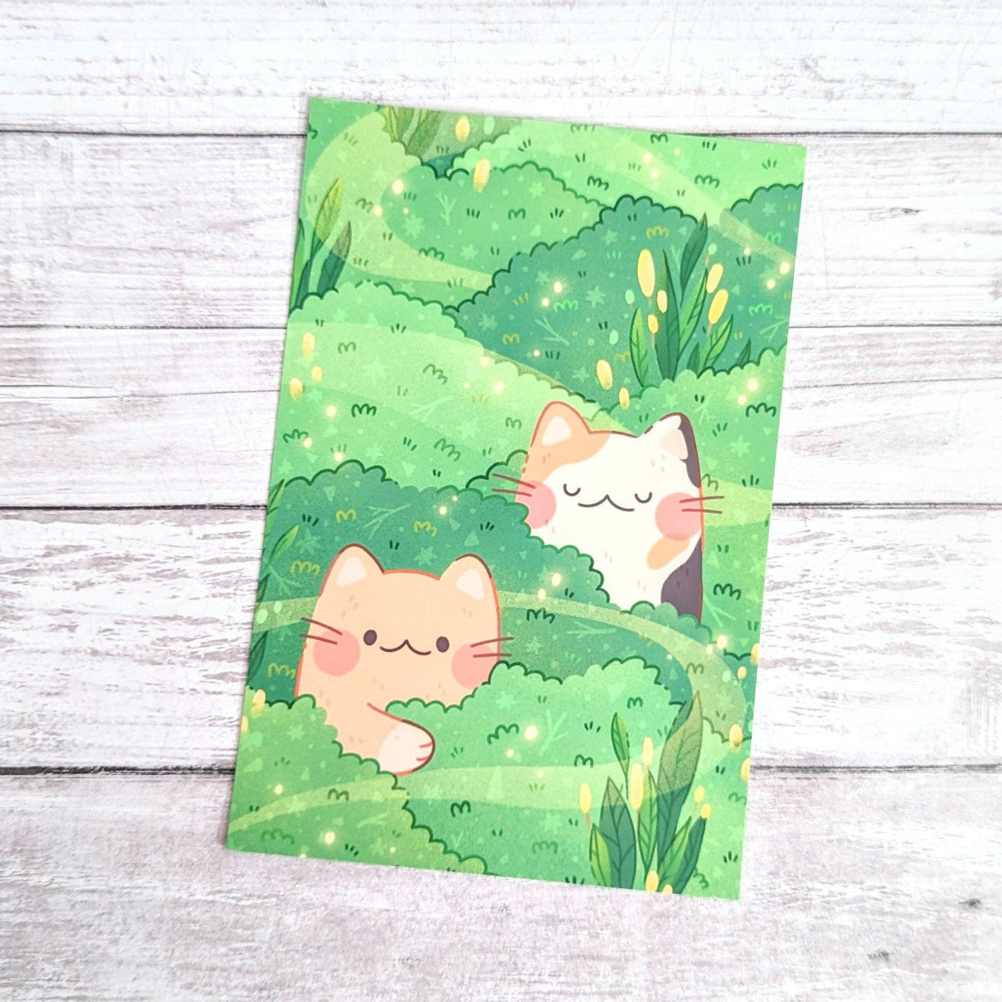 Hideaway Cats Postcard