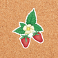 Strawberry Sticker