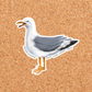 Meddlesome And Non Compliant Seagull Sticker
