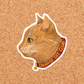 Orange Cat Club Sticker