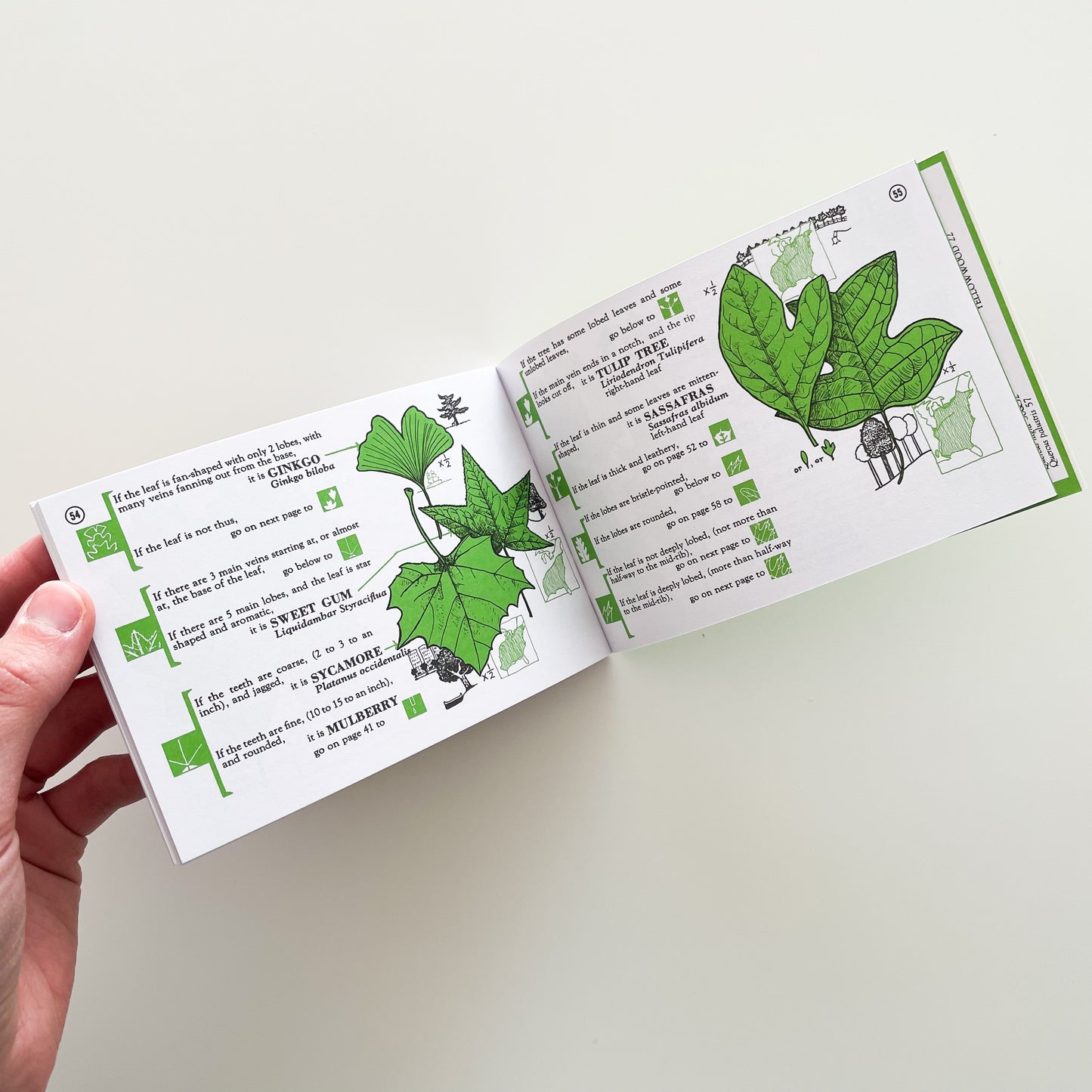 Tree Finder: A Manual For the Identification of Trees by Their Leaves