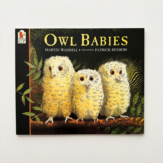 Owl Babies