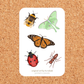 Bugs 4x6 Vinyl Sticker Sheet