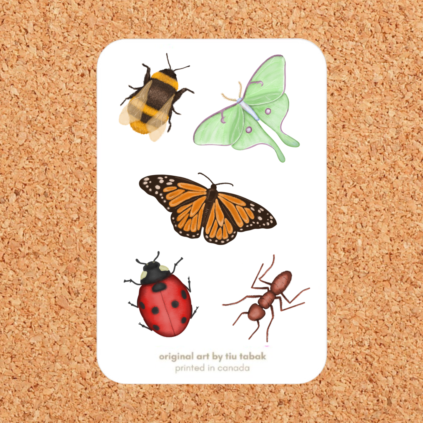 Bugs 4x6 Vinyl Sticker Sheet