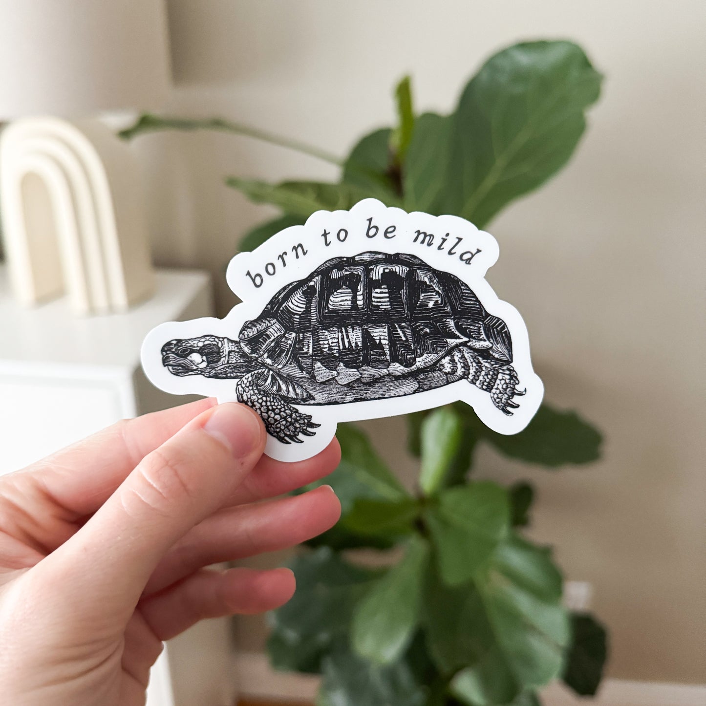 Mild Turtle Vinyl Sticker