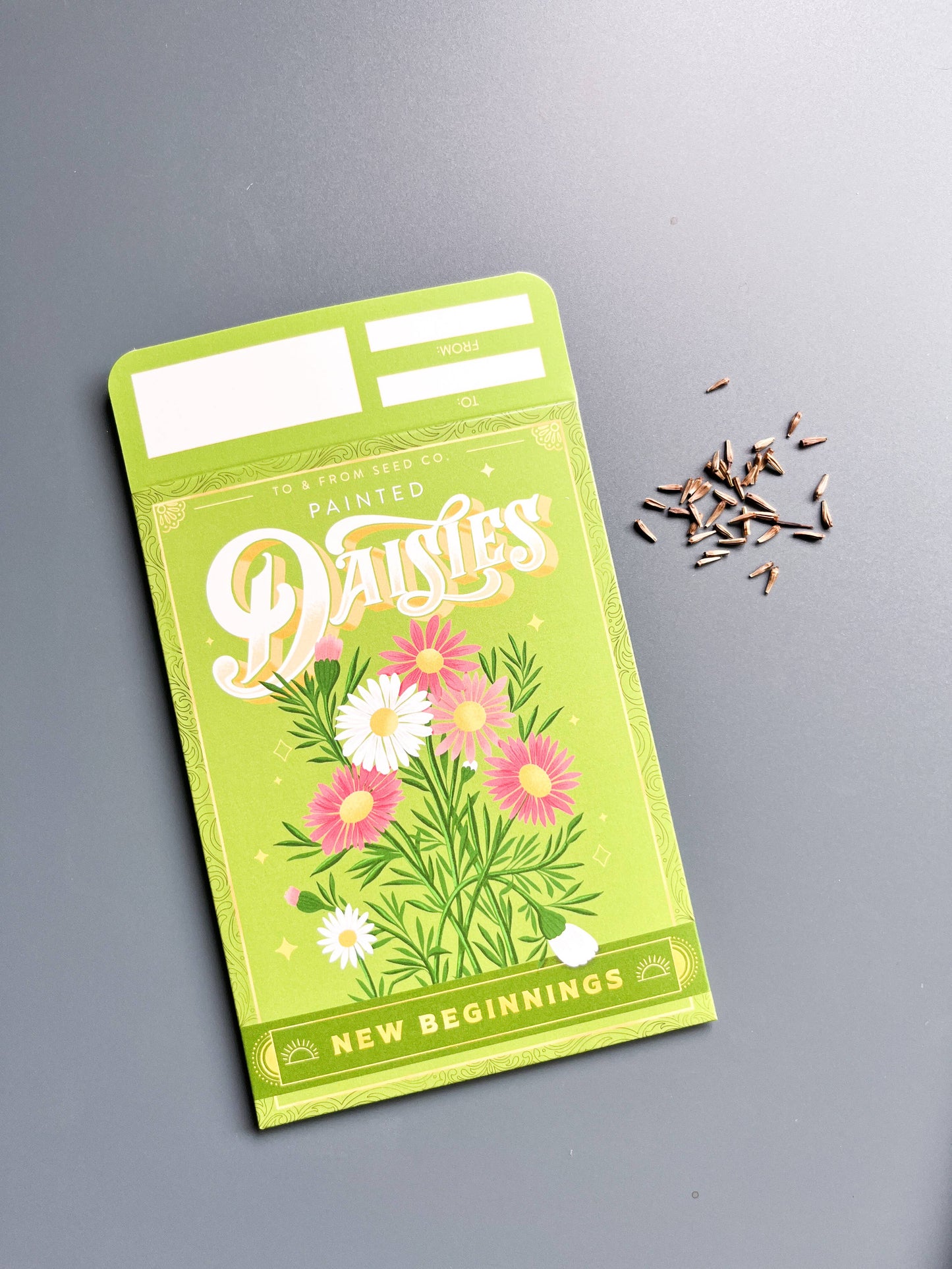 Floriography Seed Packet - Painted Daisies