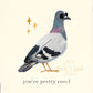 Cool Pigeon Card