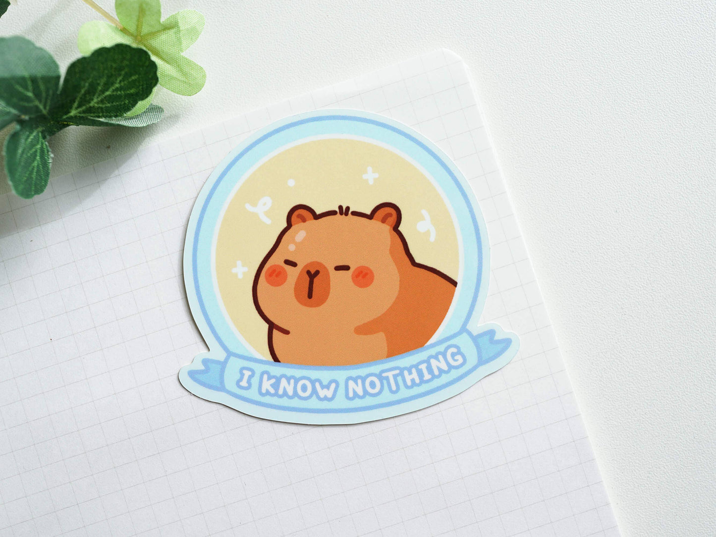 I Know Nothing Capybara Sticker