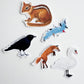 Jumping to Conclusions Fox Sticker