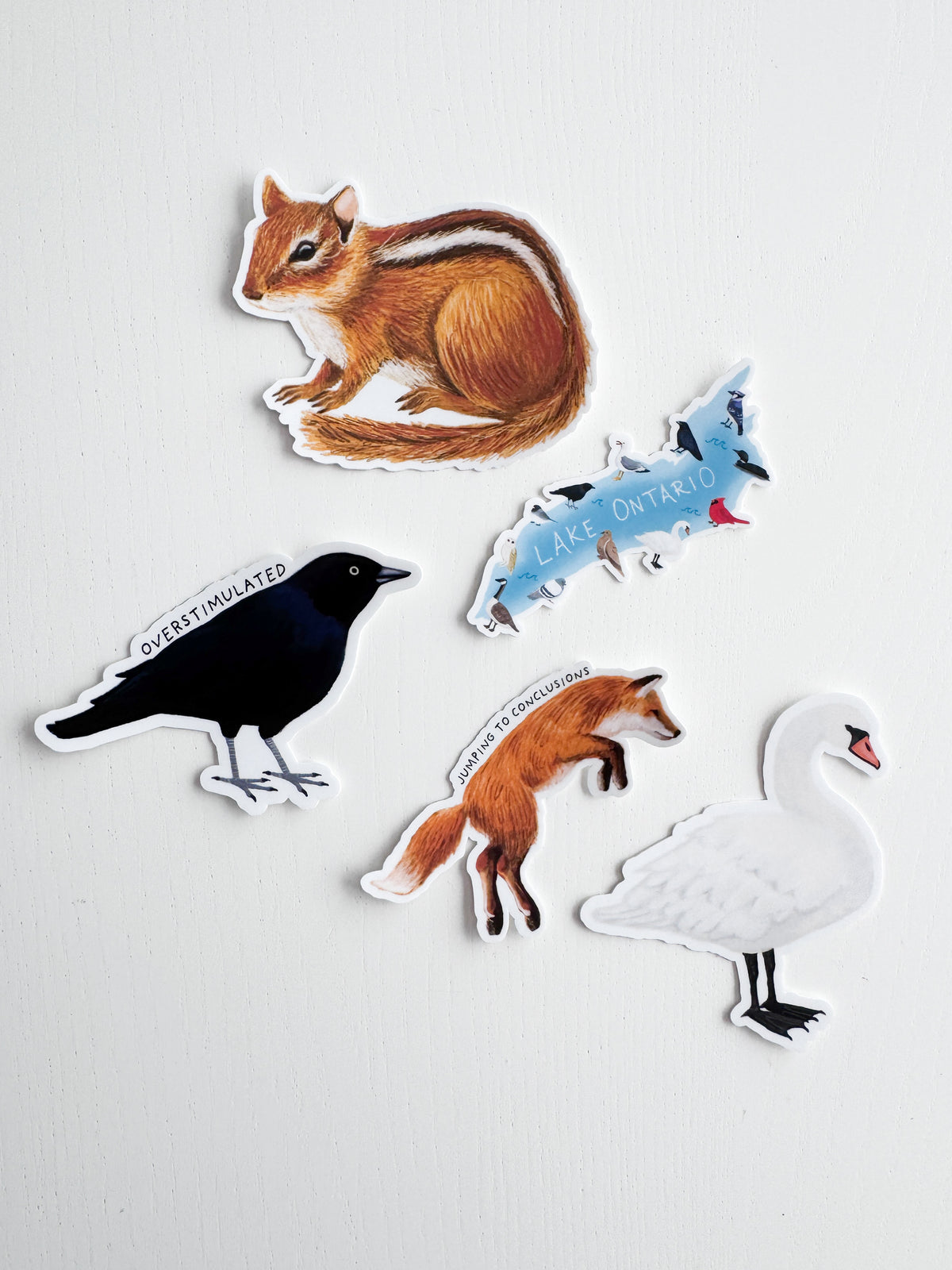 Jumping to Conclusions Fox Sticker