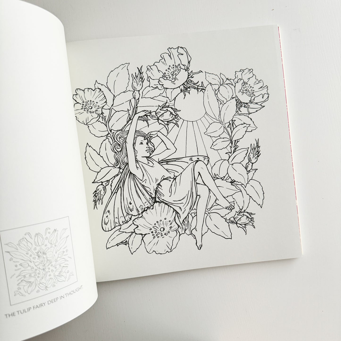 The Flower Fairies Coloring Book