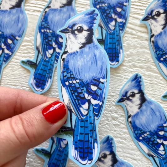 Blue Jay Sticker
