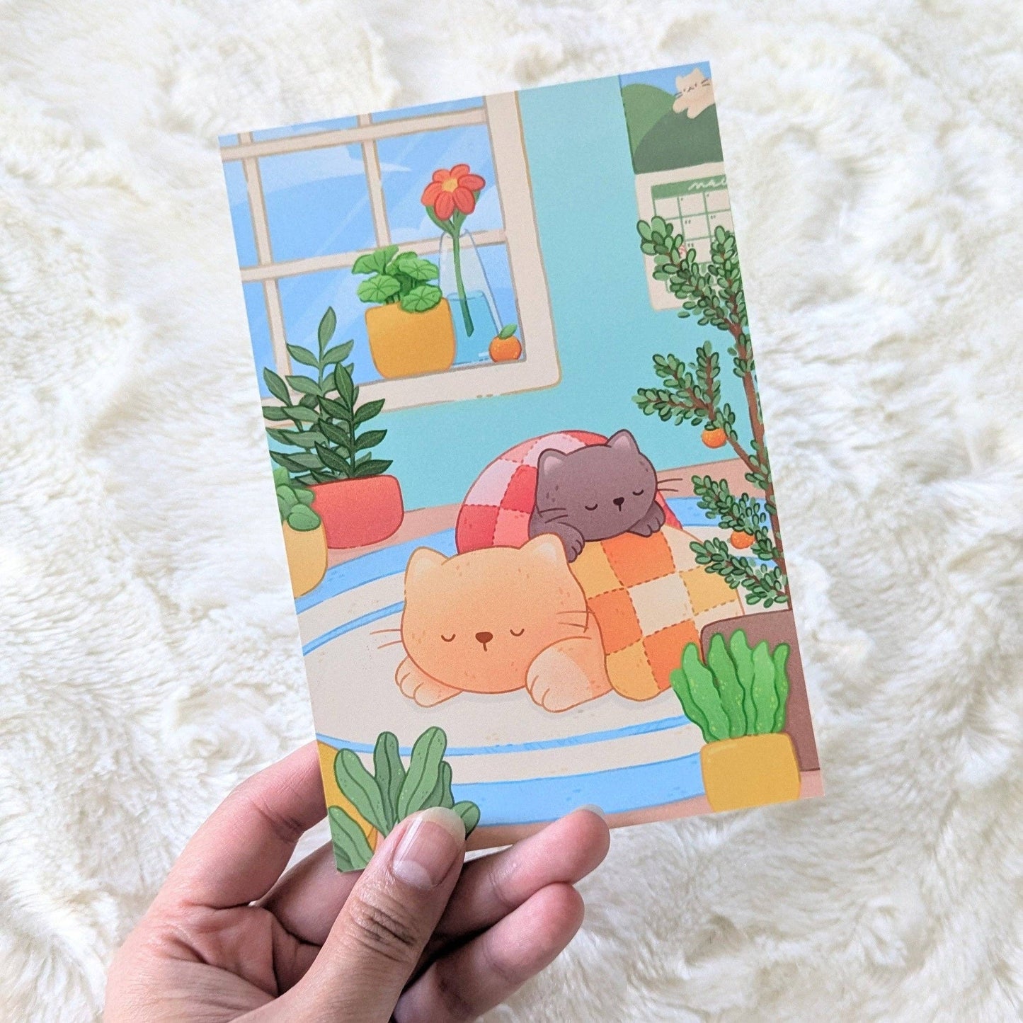 Cozy Cats Postcard