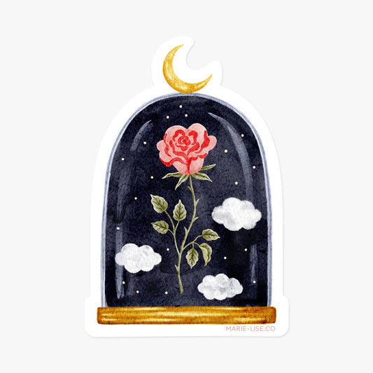 Midnight Rose