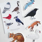 Overstimulated Blackbird Sticker