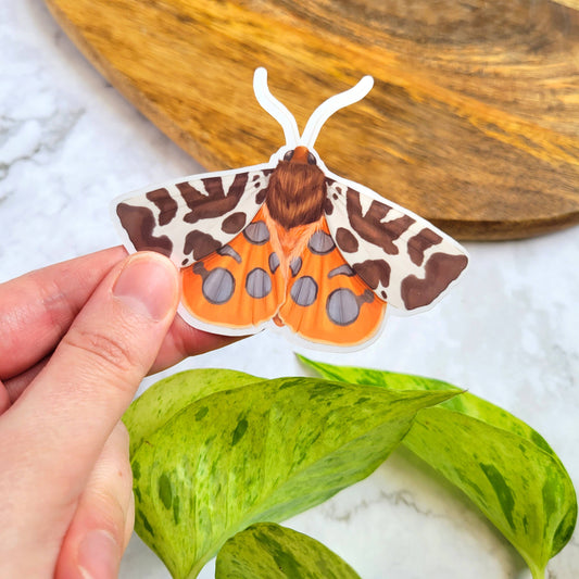 Tiger Moth Sticker