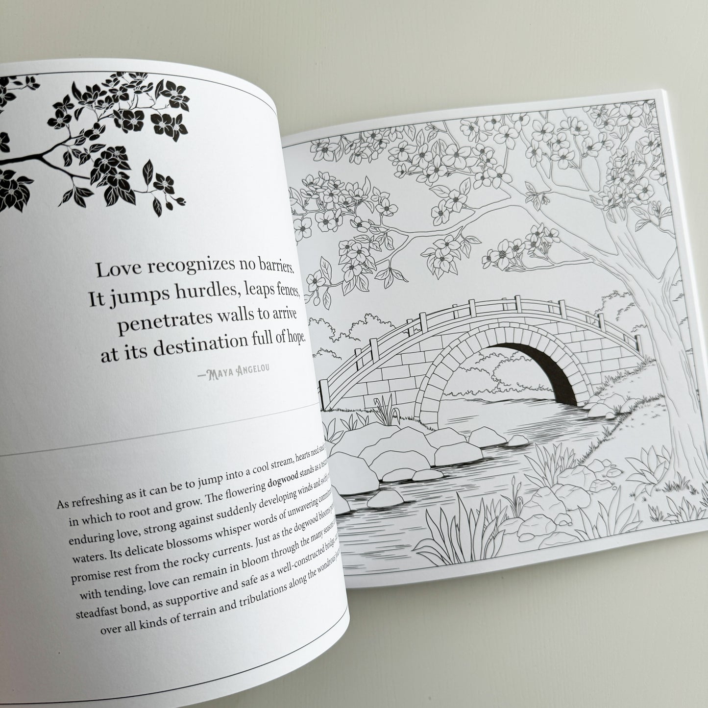 Floriographic: Secret Garden- An Artist's Coloring Book of the Hidden Language of Flowers