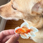Short Attention Span Goldfish Sticker