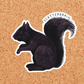 Scatterbrain Squirrel Sticker