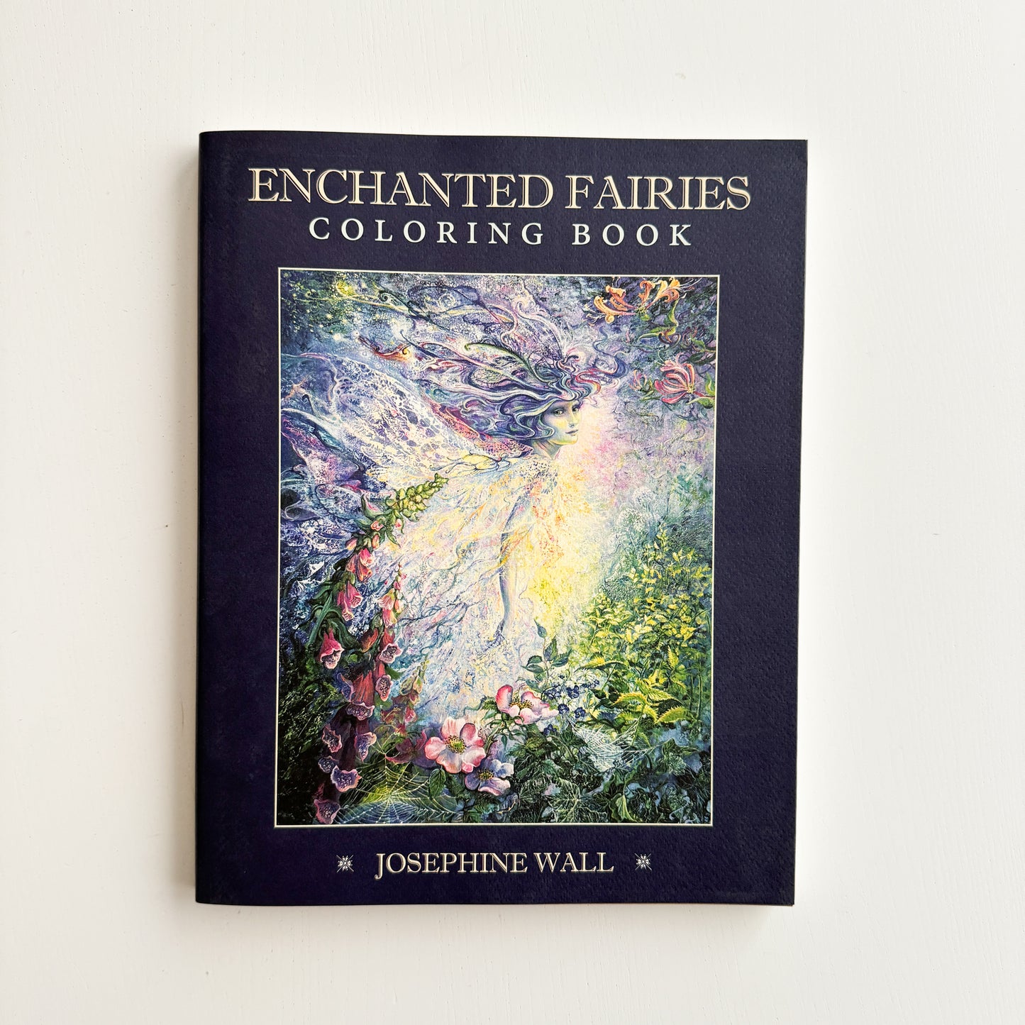 Enchanted Fairies Coloring Book