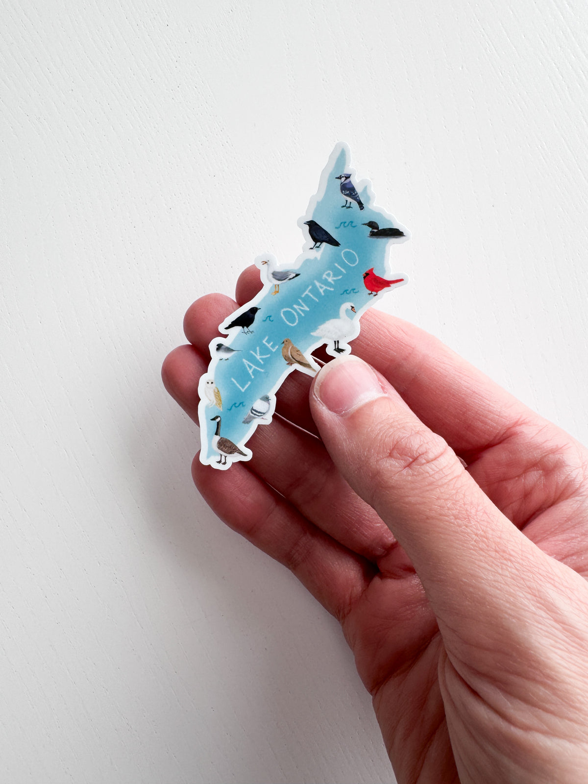 Birds of Lake Ontario Sticker