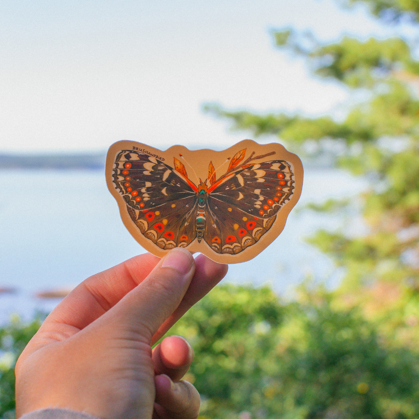 Field Crescent Butterfly Vinyl Sticker
