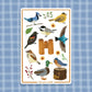 The Birdwatcher Bird 4x6 Paper Sticker Sheet